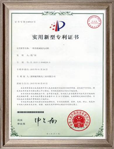 一种齿轮减速电动机